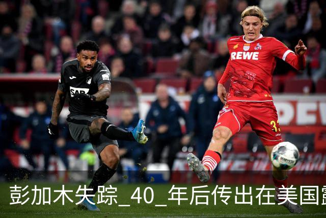 彭加木失踪 40 年后传出在美国露面的底细已经查清。当年中央下达指令追查，这桩罗布泊悬案背后的隐秘往事让人不寒而栗