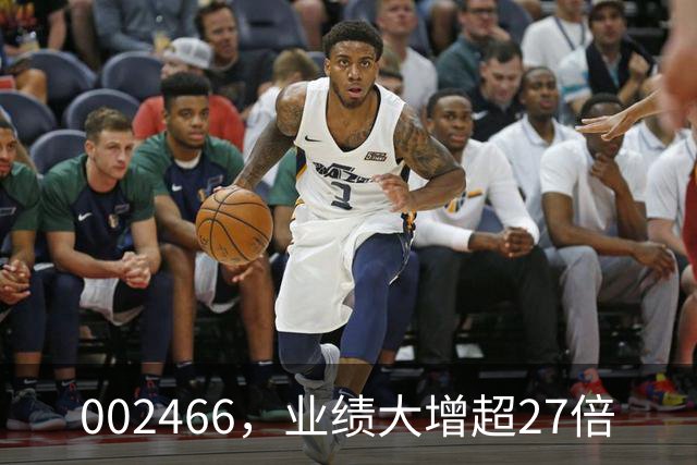 002466,业绩大增超27倍